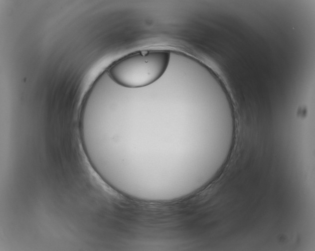 X0000111801472200907231158