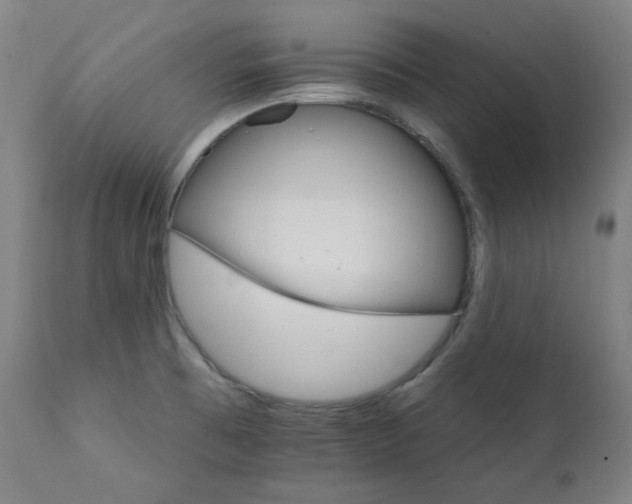X0000111801473200907231158