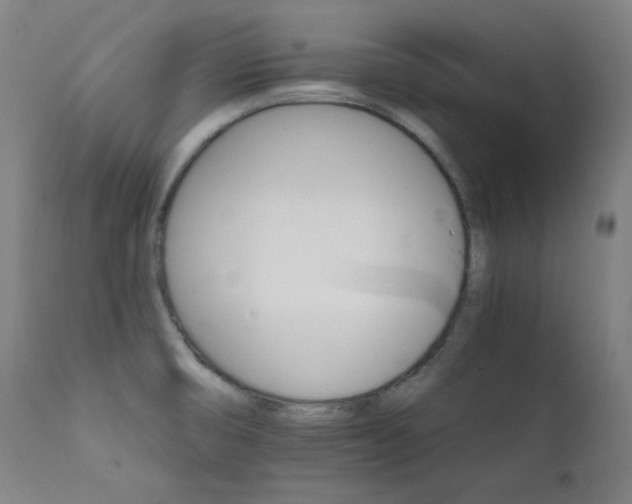 X0000111801474200907231158