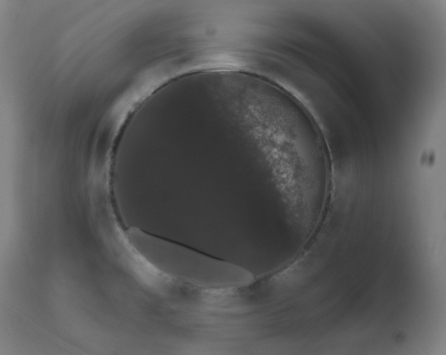 X0000111801477200907231158