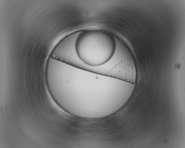 X0000111801483200907231158