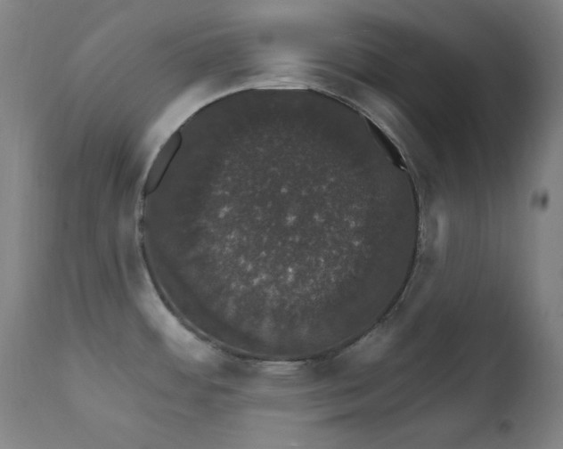X0000111801484200907231158