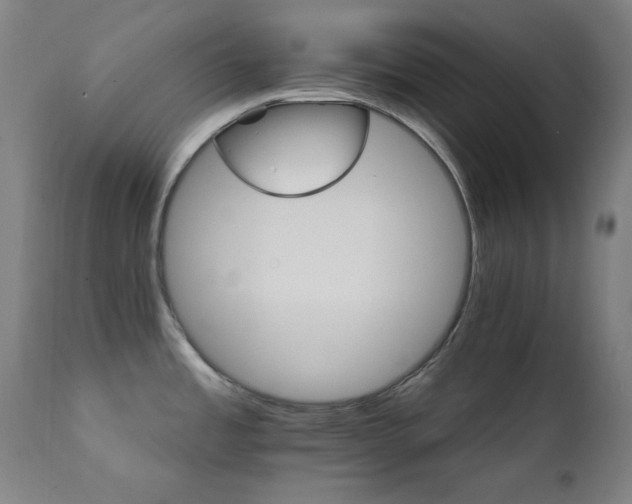 X0000111801485200907231158