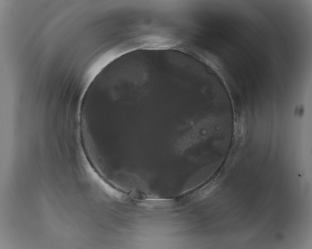 X0000111801487200907231158