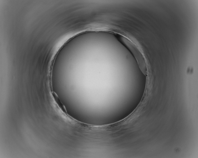 X0000111801488200907231158