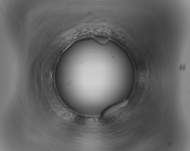 X0000111801489200907231157