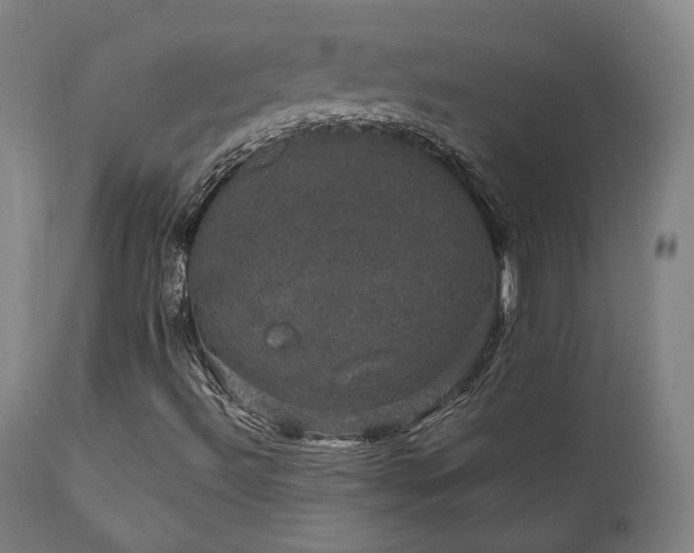 X0000111801492200907231157