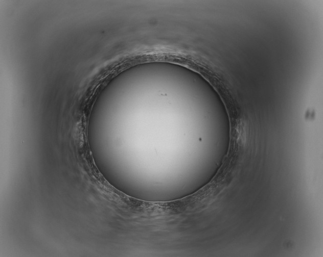 X0000111801493200907231157