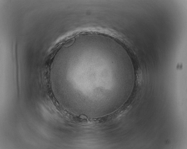 X0000111801494200907231157