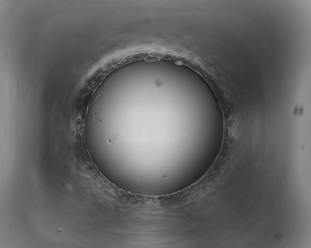 X0000111801495200907231157