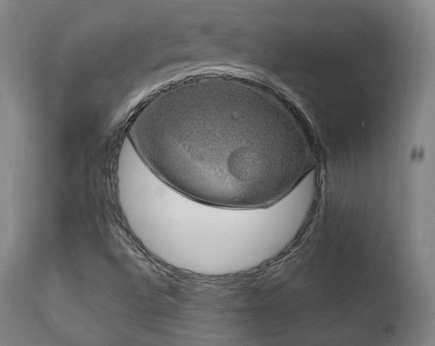 X0000111801496200907231157