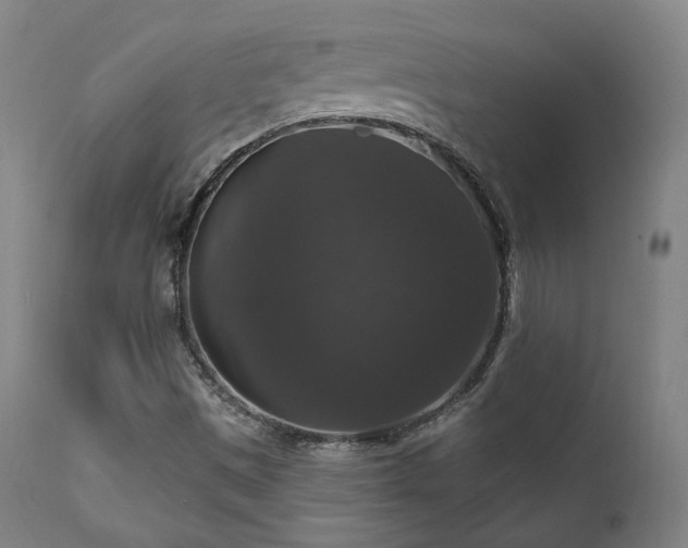 X0000111801497200907231157