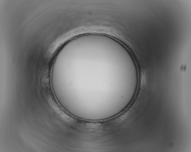 X0000111801498200907231157