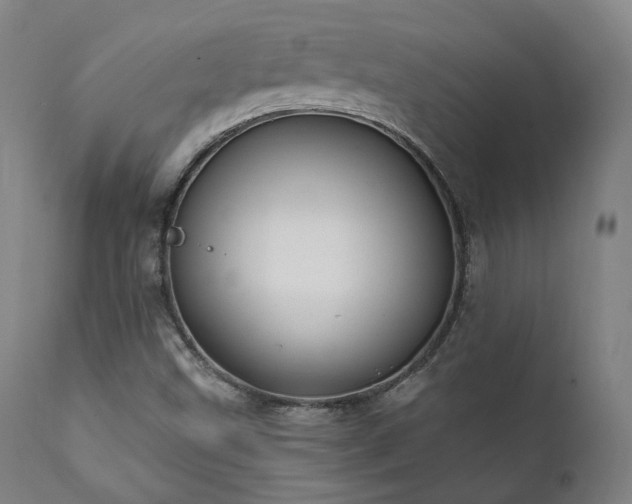 X0000111801499200907231157
