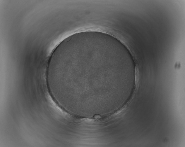 X0000111801500200907231157