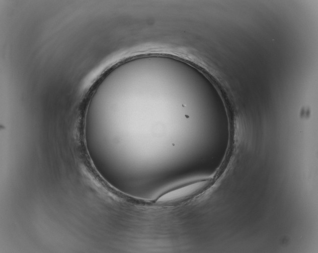 X0000111801502200907231157