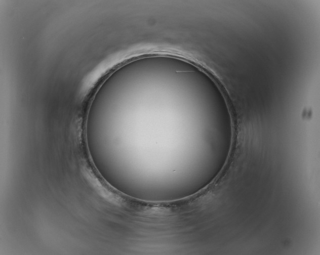 X0000111801503200907231157