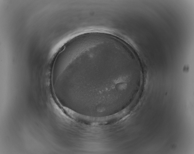 X0000111801504200907231157