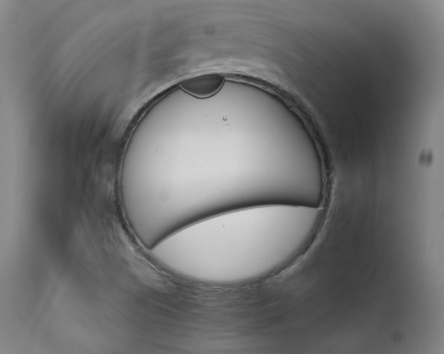 X0000111801505200907231157