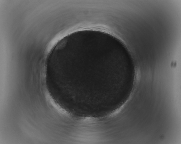 X0000111801506200907231157