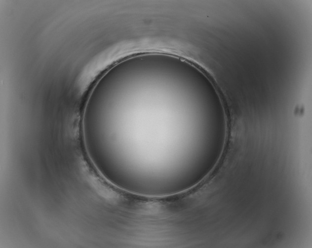 X0000111801507200907231157