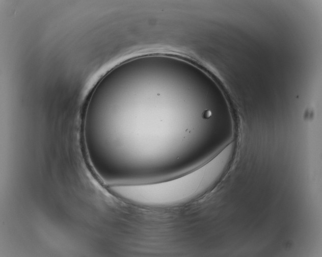 X0000111801508200907231157