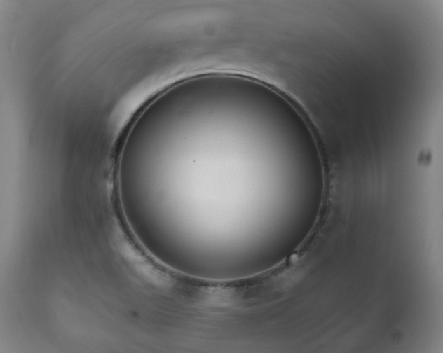 X0000111801511200907231157