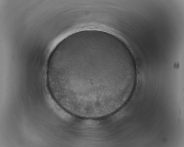 X0000111801514200907231157