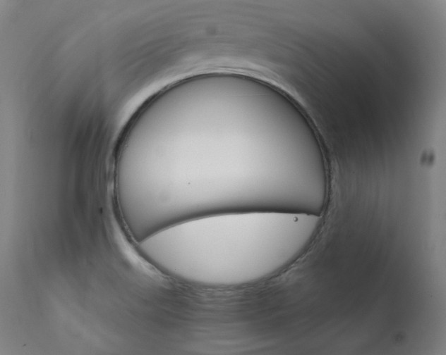 X0000111801515200907231157