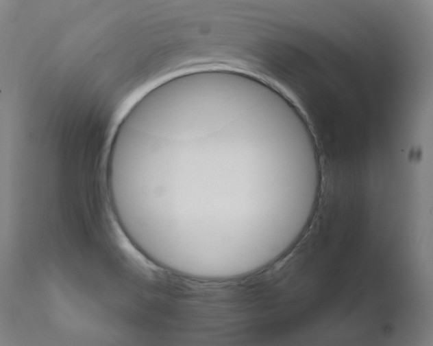 X0000111801516200907231157