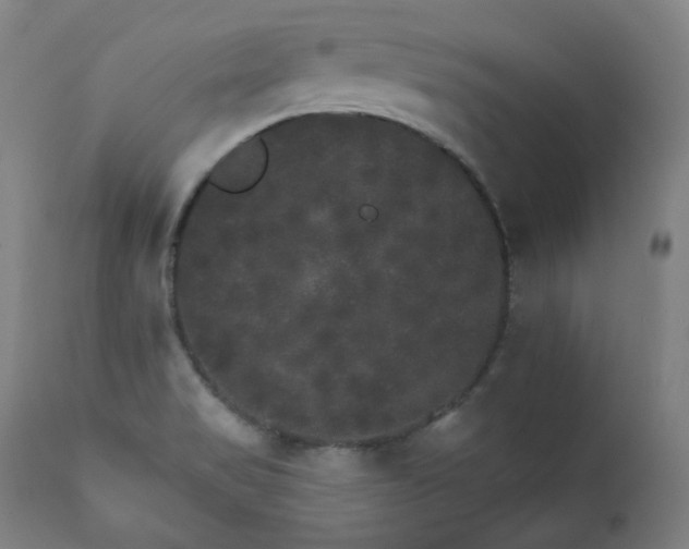 X0000111801517200907231157