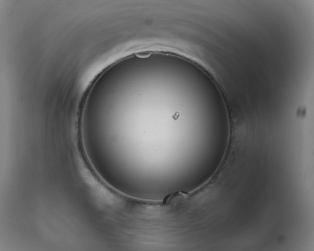X0000111801518200907231157