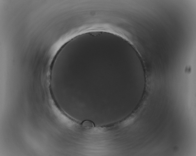 X0000111801519200907231157