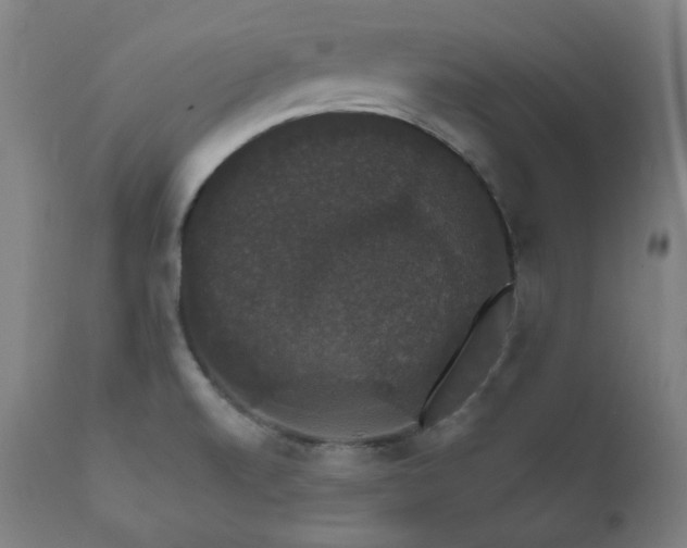 X0000111801520200907231157