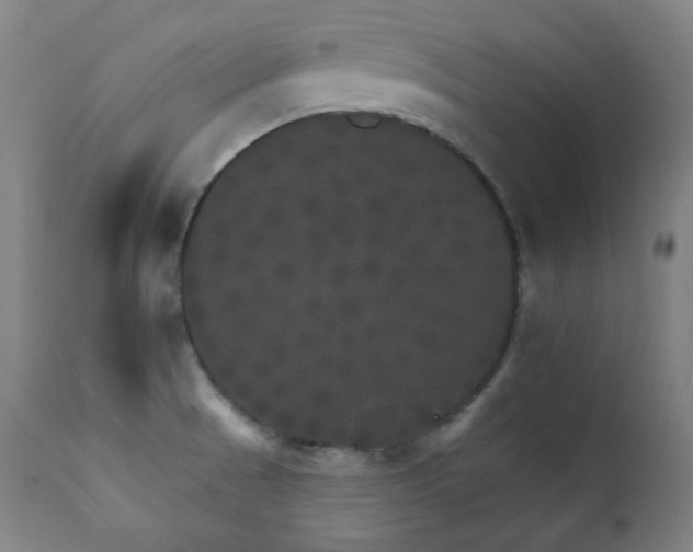 X0000111801521200907231157