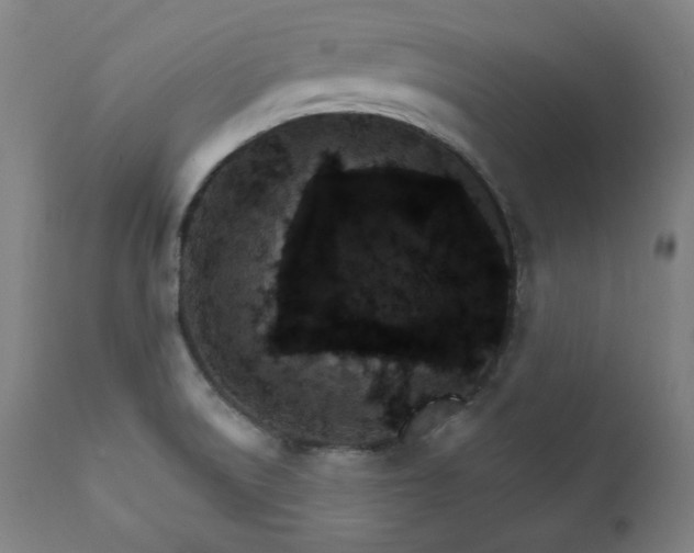 X0000111801522200907231157