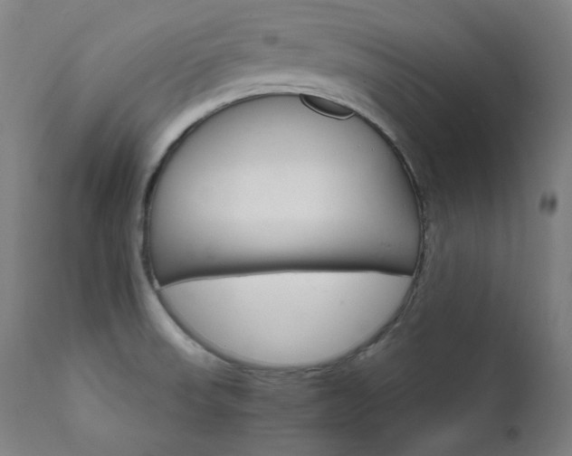 X0000111801523200907231157