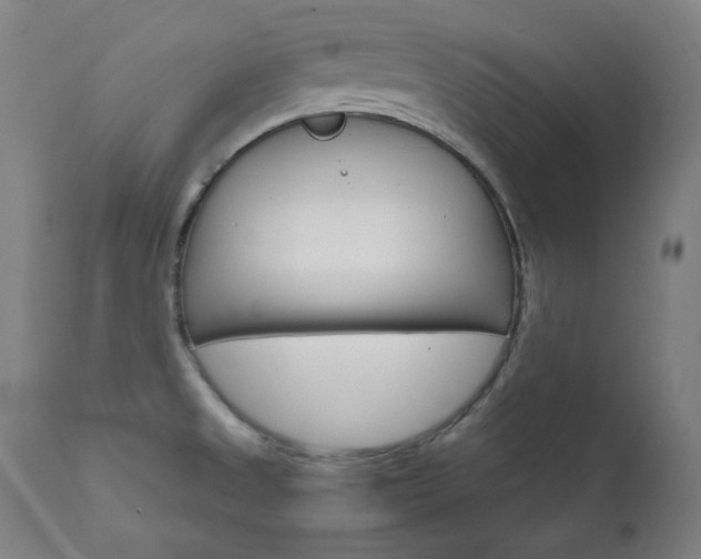 X0000111801525200907231157