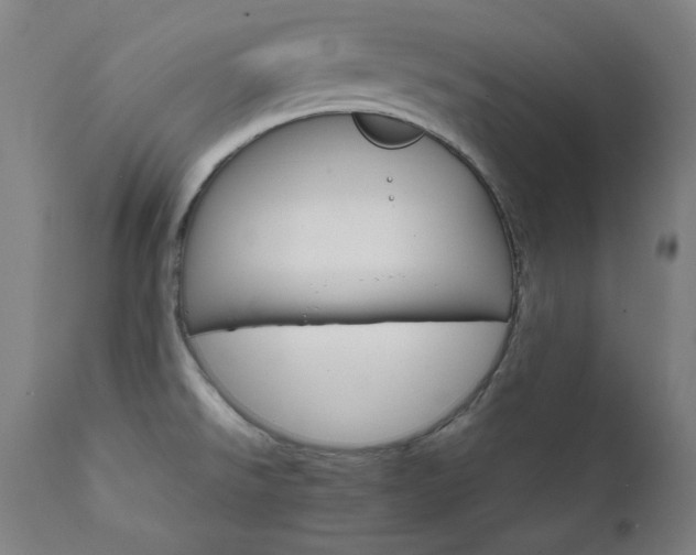 X0000111801526200907231157