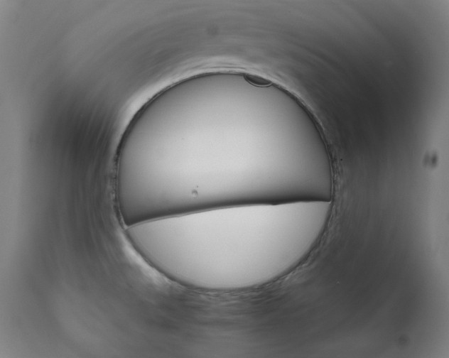 X0000111801527200907231157