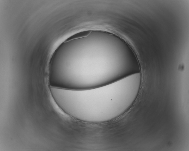 X0000111801528200907231157