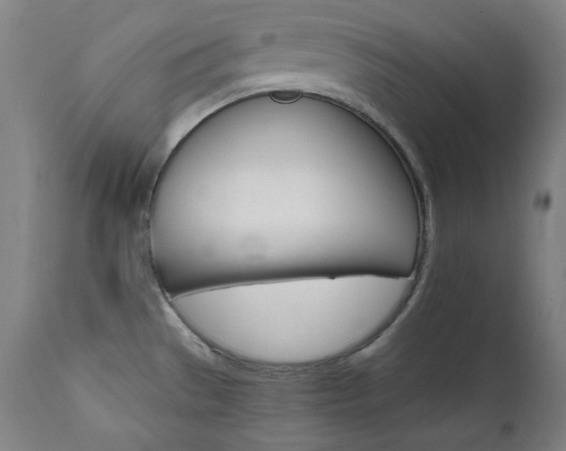 X0000111801529200907231158