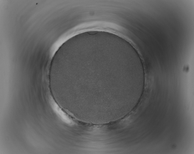 X0000111801530200907231158