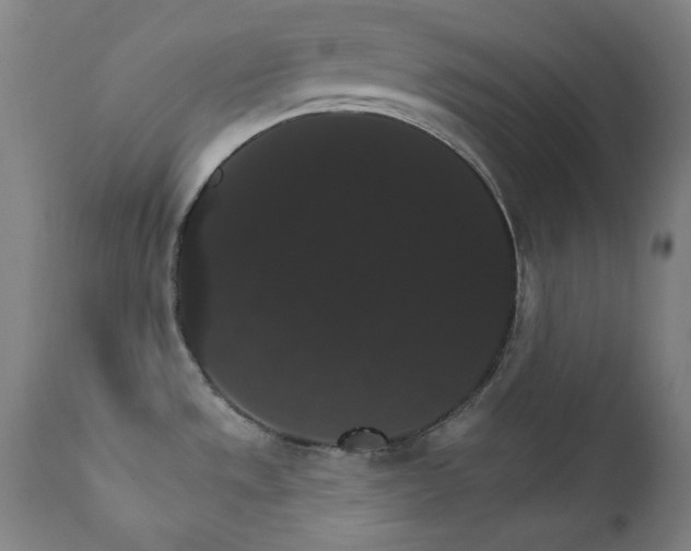 X0000111801533200907231158