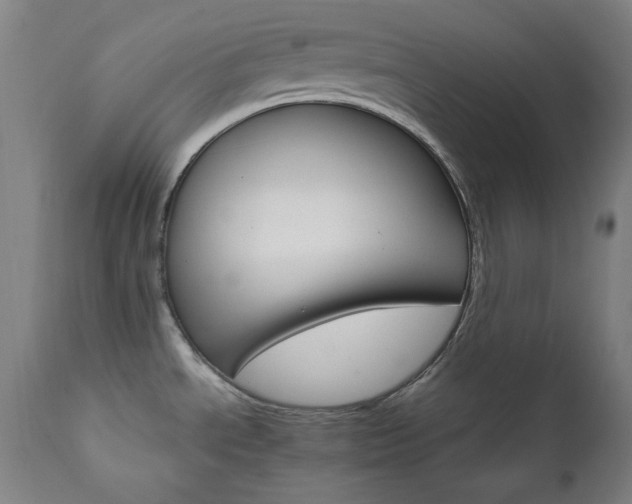 X0000111801534200907231158