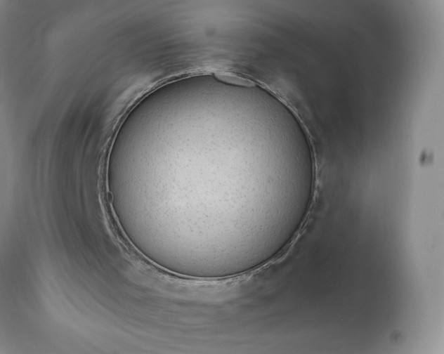 X0000111800001200907301220