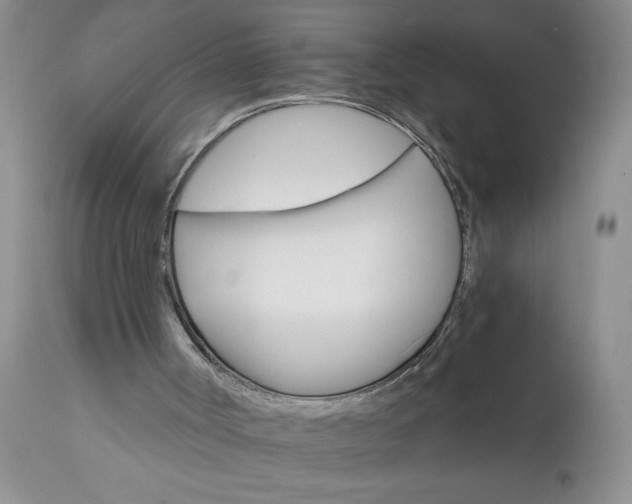 X0000111800002200907301220