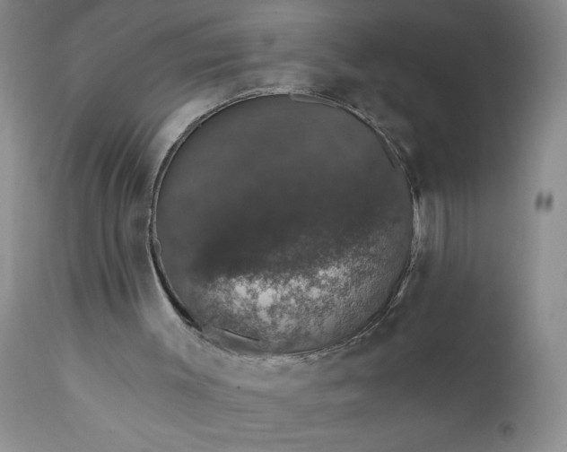 X0000111800003200907301220