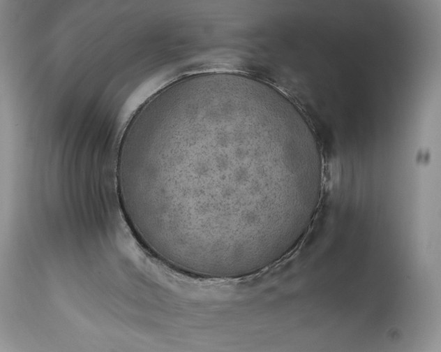 X0000111800004200907301220