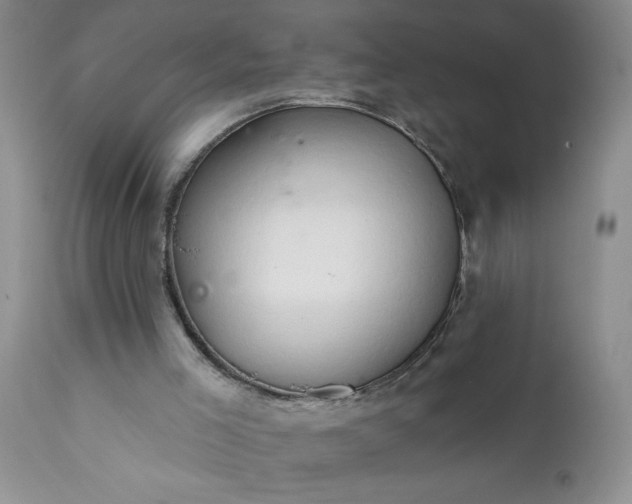 X0000111800005200907301220